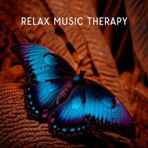Relax Time Universe的专辑Relax Music Therapy (Background Music for Focusity and Nature Sounds for Live)