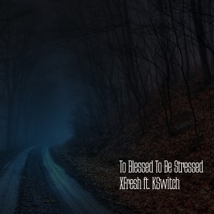Listen to Too Blessed to Be Stressed song with lyrics from Xfresh