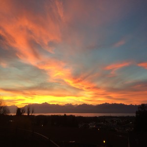 Listen to Dante (Polvere di stelle) song with lyrics from Francesco Banchini