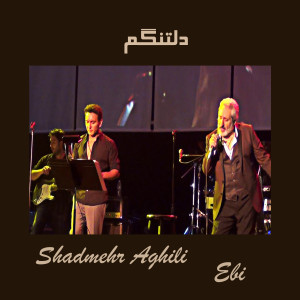 Album دلتنگم oleh Shadmehr Aghili