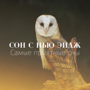 Listen to Храм сна song with lyrics from Peaceful Sleep Music Collection