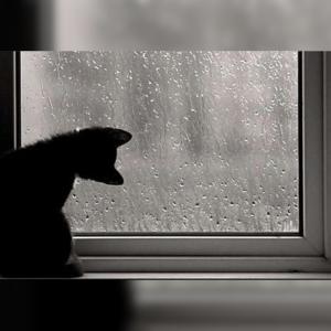 收聽To Sleep的Lluvia con truenos para dormir歌詞歌曲