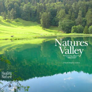 ดาวน์โหลดและฟังเพลง Pure Water Sound from Nature 6 พร้อมเนื้อเพลงจาก 힐링 네이쳐 Nature Sound Band