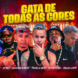 收聽Henrique no Beat的Gata de Todas as Cores (Explicit)歌詞歌曲