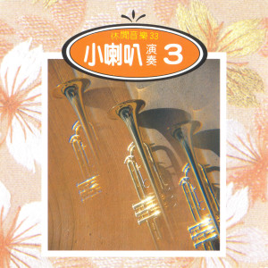 Album 休闲音乐 小喇叭演奏3 oleh 演奏曲