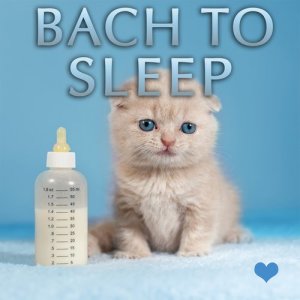 ดาวน์โหลดและฟังเพลง Piano Sonata No. 14 i C-Sharp Minor, Op. 27: II. Moonlight Sonet พร้อมเนื้อเพลงจาก Bedtime Baby