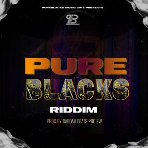 Listen to Ipapo (feat. Proper Fire & Private Number) song with lyrics from Pureblacks Music