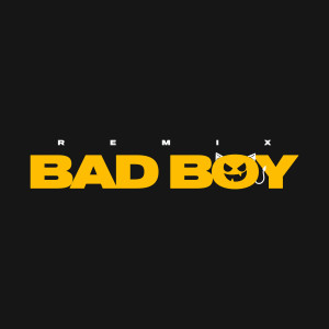 Dani Flow的專輯BAD BOY (feat. Juhn, Jairo Vera, Sayian Jimmy, Nysix Music, CamiMusic & Montana the Producer) (Remix) (Explicit)