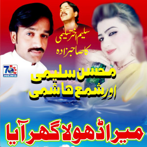 Listen to Mera Dhola Ghar Aaya song with lyrics from Mohsen Salimi