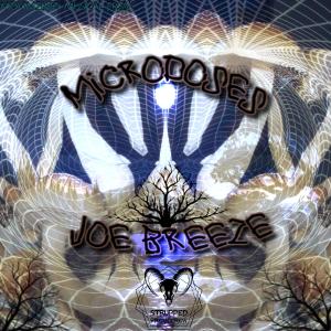 Listen to Inicio song with lyrics from Joe Breeze