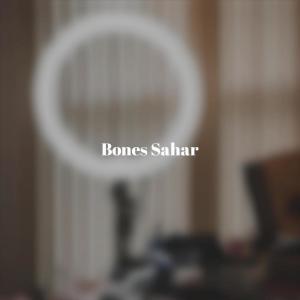 Various的专辑Bones Sahar