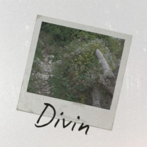 Album Divin (Explicit) from Various