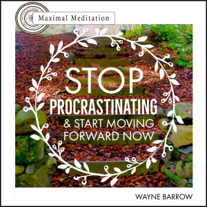 Dengarkan lagu Stop Procrastinating Guided Meditation (feat. Zarah Lee Barrow) nyanyian Wayne Barrow dengan lirik