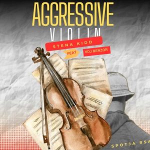 Album Aggressive Violin from Stena kidd