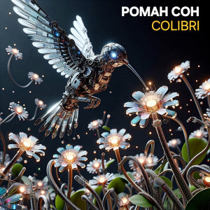 Listen to Colibri song with lyrics from Роман Сон