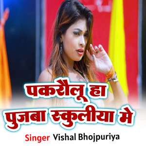 Listen to Pakrailu Ha Puja Schooliya Me song with lyrics from Vishal Bhojpuriya