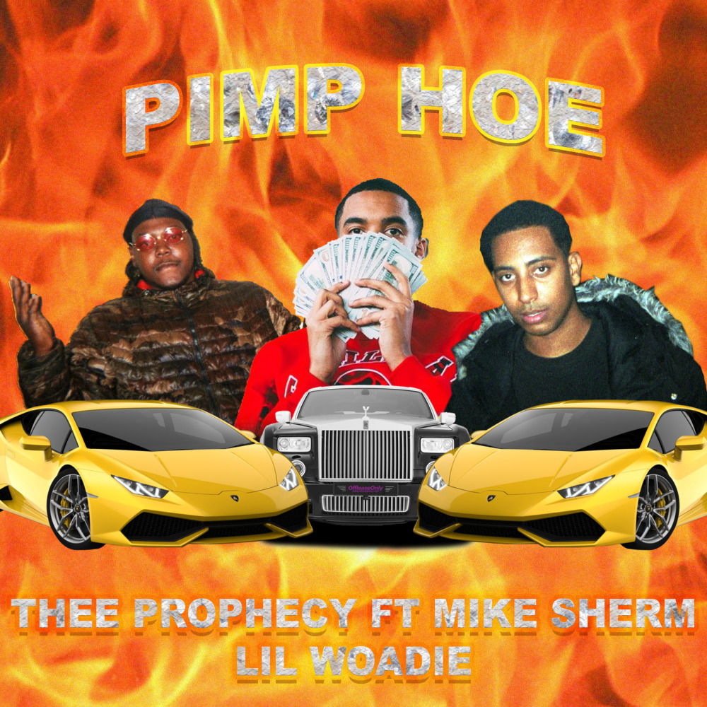 Pimp Hoe (Explicit)