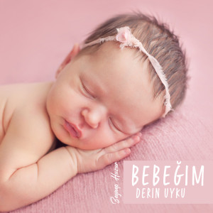 Zeynep Huzur的专辑Bebeğim Derin Uyku