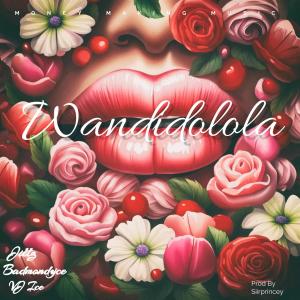 ดาวน์โหลดและฟังเพลง Wandidolola (feat. Badmon Dyce & VJ ICE) พร้อมเนื้อเพลงจาก Jillz