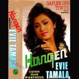 Listen to Gaplek Opo Tiwul song with lyrics from Evie Tamala