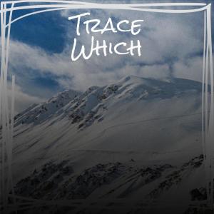 Album Trace Which oleh Various