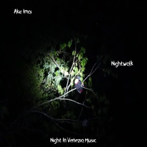 Listen to Nightwalk song with lyrics from Akio Imai