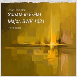 收聽Ignaz Friedman的Sonata E-flat major, Bwv 1031: II. Siciliano. (remasterad)歌詞歌曲