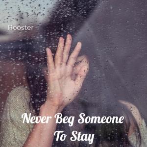 Album Never Beg Someone To Stay from Rooster