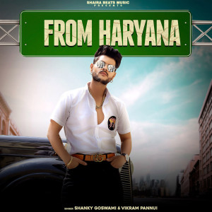 Listen to From Haryana song with lyrics from Vikram Pannu