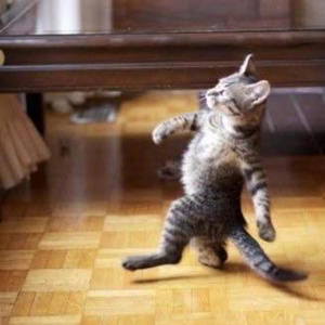 收聽luvhex的swag song (feat. suddendeathovertime) (Explicit)歌詞歌曲