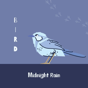 收聽Midnight Rain的Bird歌詞歌曲