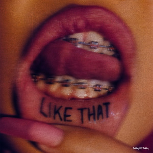 Listen to Like That song with lyrics from Wahlstedt