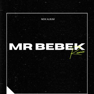 收听Mr Bebek的Baby Ngegas歌词歌曲