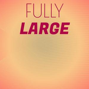 ดาวน์โหลดและฟังเพลง Fully Large พร้อมเนื้อเพลงจาก Conie Alsi