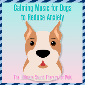 Relax My Dog的專輯Calming Music for Dogs to Reduce Anxiety : The Ultimate Sound Therapy for Pets