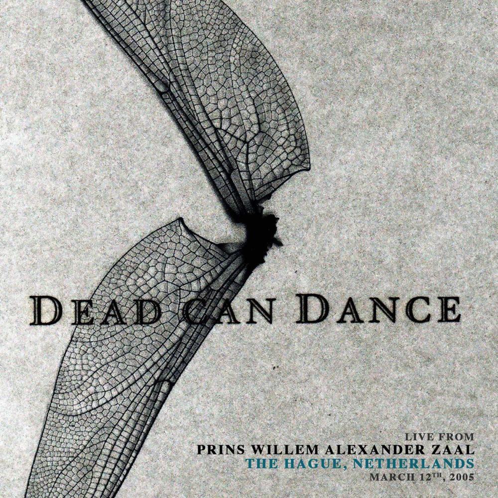 Salem's Lot (Live from Prins Willem Alexander zaal, The Hague, Netherlands. March 12th, 2005)