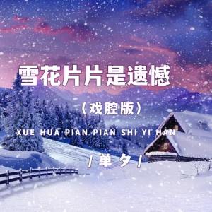 Album 雪花片片是遗憾 from 单夕