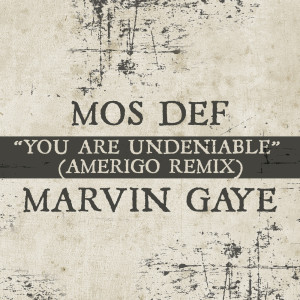 Mos Def的專輯You Are Undeniable (Amerigo Remix)