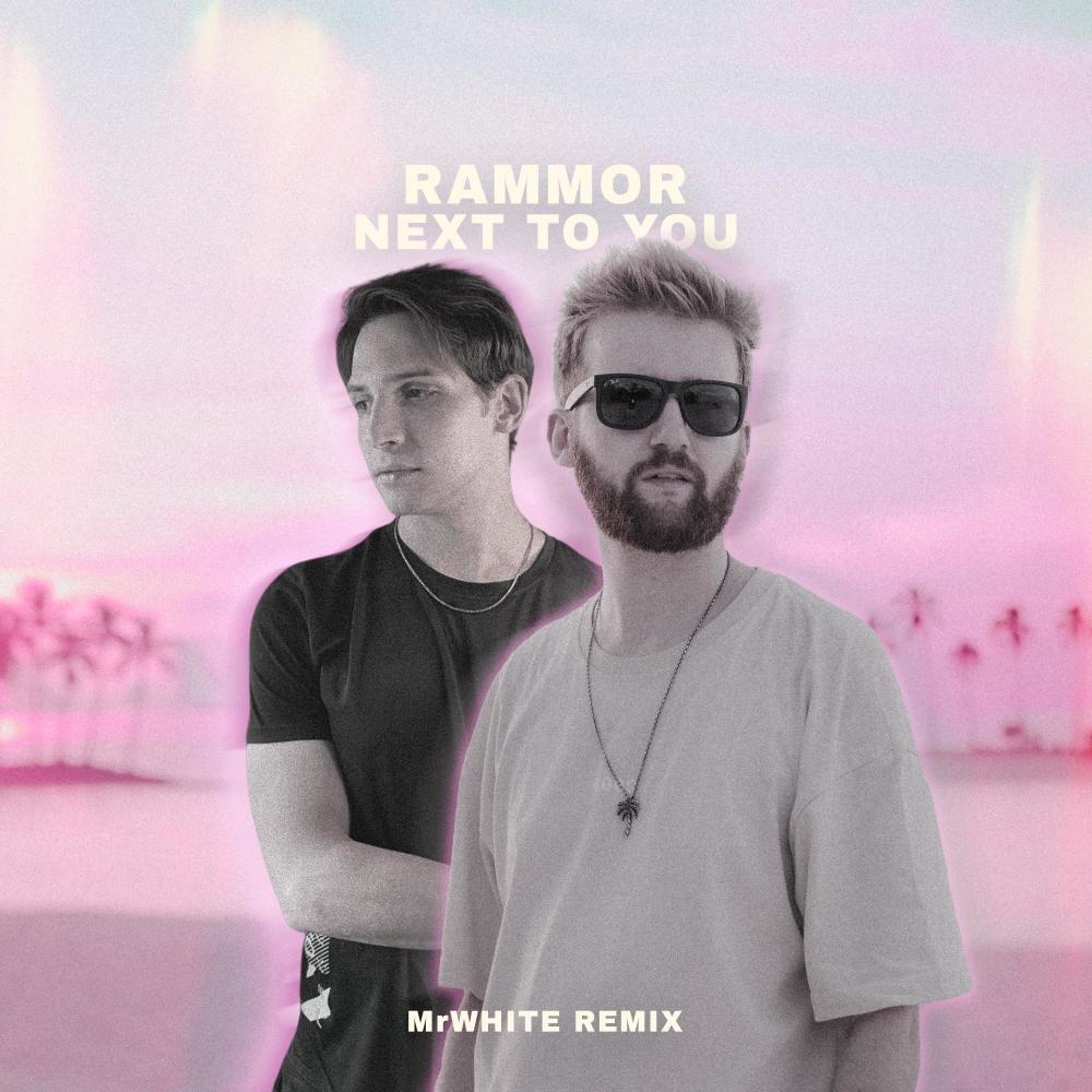 next to you (feat. Otto Palmborg) (MrWhite Remix)