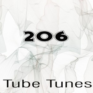 Various的專輯Tube Tunes, Vol.206