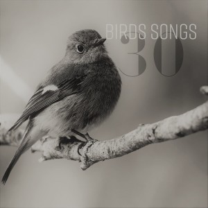 收聽Relaxing Spa Music Zone的Birds Song (其他)歌詞歌曲