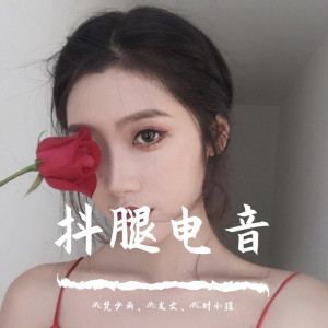 收听Mc梵少雨的抖腿电音（抖音热播版）歌词歌曲