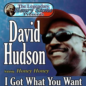 ดาวน์โหลดและฟังเพลง I Must Have Your Love พร้อมเนื้อเพลงจาก David Hudson