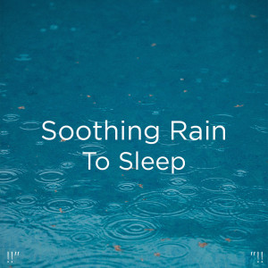 Dengarkan Rain Noise lagu dari Meditation Rain Sounds dengan lirik