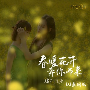 Album 春暖花开奔你而来 (DJ氛围版) from 橘子汽水