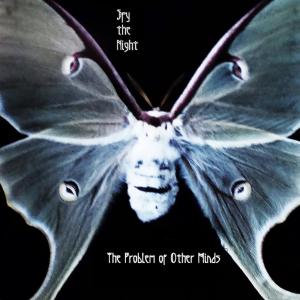 ดาวน์โหลดและฟังเพลง Then Fall พร้อมเนื้อเพลงจาก Spy the Night