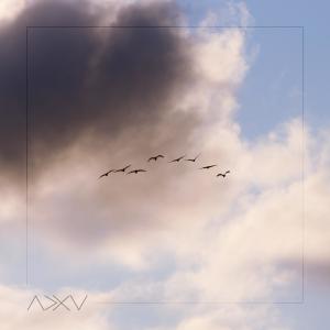 ADXY的專輯Flight Paths