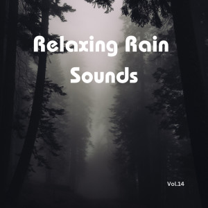 Relaxing Rain Sounds (Vol.14)