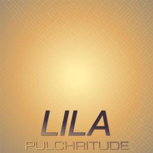 Dengarkan Unofficial Ain lagu dari Soan Kalon dengan lirik