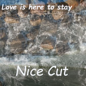 Nice Cut的專輯Love Is Here to Stay